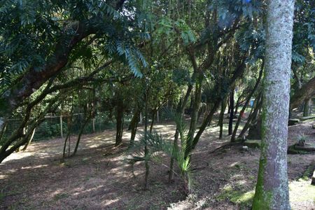 Casa de condomínio à venda com 84m², 3 quartos e 1 vagaÁrea comum