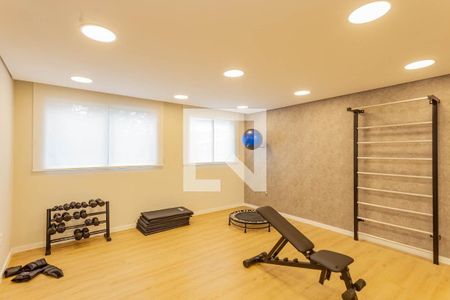 Área comum - Academia de apartamento para alugar com 2 quartos, 41m² em Vila Moraes, São Paulo