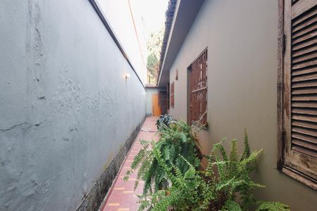 Casa à venda com 310m², 3 quartos e 3 vagas Casa à venda com 310m², 3 quartos e 3 vagasÁrea externa