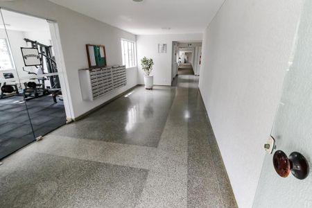 Hall de entrada de apartamento para alugar com 2 quartos, 74m² em Parque Reboucas, São Paulo