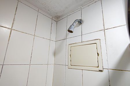 Apartamento à venda com 60m², 2 quartos e 1 vagaBanheiro da Suíte