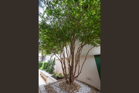 Apartamento para alugar com 100m², 3 quartos e 2 vagasÁrea comum