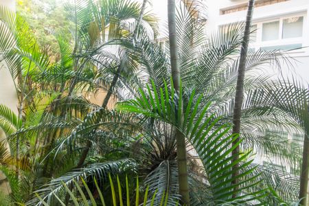 Casa de condomínio à venda com 703m², 4 quartos e 4 vagasVista da Sala