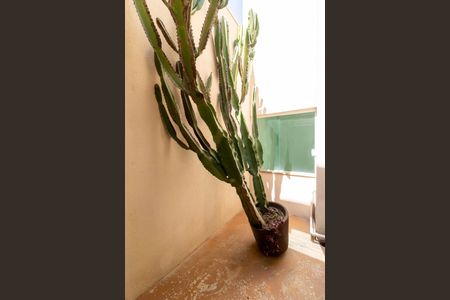 Casa à venda com 299m², 3 quartos e 2 vagasÁrea Externa