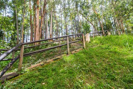 Apartamento à venda com 100m², 3 quartos e 2 vagas Apartamento à venda com 100m², 3 quartos e 2 vagasÁrea comum