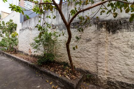 Casa para alugar com 50m², 1 quarto e sem vaga Casa para alugar com 50m², 1 quarto e sem vagaQuintal