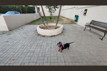 Apartamento à venda com 63m², 2 quartos e 1 vaga Apartamento à venda com 63m², 2 quartos e 1 vagaEspaço pet