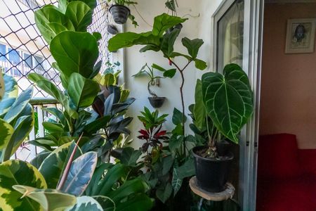 Apartamento à venda com 77m², 2 quartos e sem vaga Apartamento à venda com 77m², 2 quartos e sem vagaSala