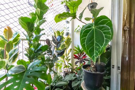 Apartamento à venda com 77m², 2 quartos e sem vaga Apartamento à venda com 77m², 2 quartos e sem vagaSala