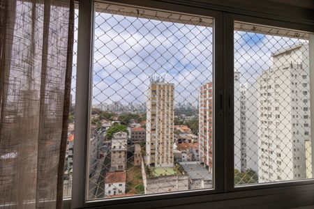 Vista da Janela da Sala de apartamento para alugar com 3 quartos, 94m² em Perdizes, São Paulo
