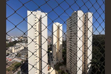 Vista da Suíte de apartamento para alugar com 3 quartos, 81m² em Vila Amélia, São Paulo