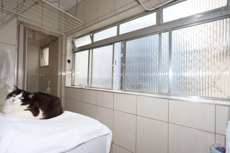 Apartamento à venda com 73m², 3 quartos e 1 vagaLavanderia