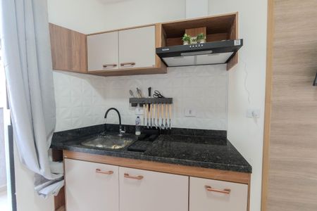 Apartamento para alugar com 27m², 1 quarto e sem vagaCozinha