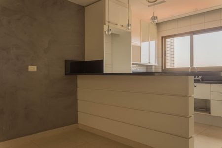 Apartamento para alugar com 365m², 4 quartos e 4 vagasCozinha