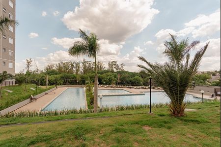 Apartamento para alugar com 66m², 2 quartos e 1 vaga Apartamento para alugar com 66m², 2 quartos e 1 vagaÁrea comum - Piscina