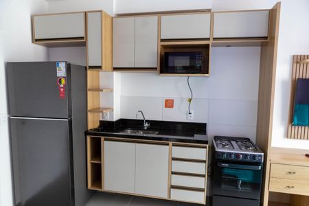 Geladeira  de apartamento para alugar com 1 quarto, 27m² em Vila Butantã, São Paulo