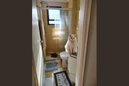 Apartamento à venda com 98m², 3 quartos e 2 vagasFoto 23