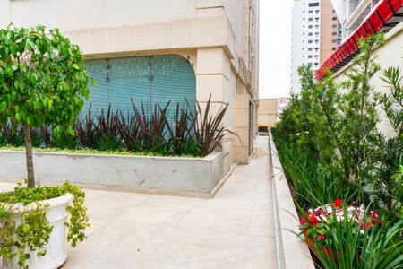 Apartamento à venda com 68m², 2 quartos e 1 vaga Apartamento à venda com 68m², 2 quartos e 1 vagaÁrea comum