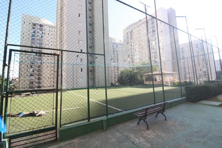 Apartamento para alugar com 65m², 3 quartos e 1 vagaÁrea comum - Campo
