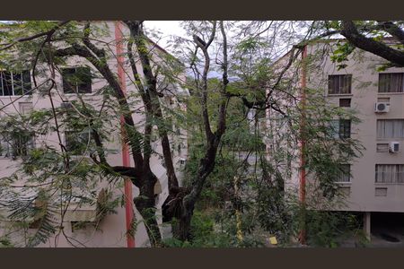 Vista do Quarto de apartamento para alugar com 1 quarto, 39m² em Taquara, Rio de Janeiro