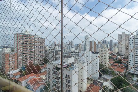Vista de apartamento para alugar com 3 quartos, 105m² em Vila Mariana, São Paulo