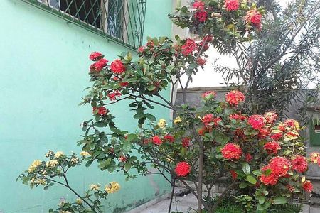 Casa à venda com 110m², 4 quartos e 7 vagas