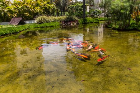 Apartamento para alugar com 113m², 3 quartos e 2 vagasÁrea comum