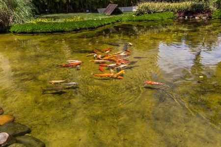 Apartamento para alugar com 113m², 3 quartos e 2 vagasÁrea comum