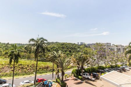 Apartamento para alugar com 113m², 3 quartos e 2 vagasVista