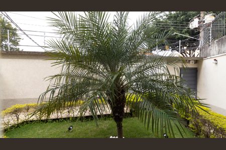 Vista do Quarto 1 de apartamento à venda com 2 quartos, 45m² em Vila Matilde, São Paulo