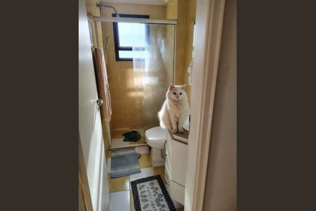 Apartamento à venda com 98m², 3 quartos e 2 vagasFoto 03
