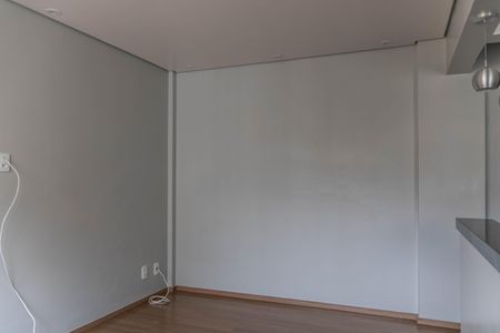 Sala de apartamento para alugar com 2 quartos, 47m² em Milionários, Belo Horizonte