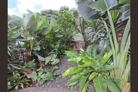 Casa à venda com 317m², 4 quartos e 5 vagasFoto 40