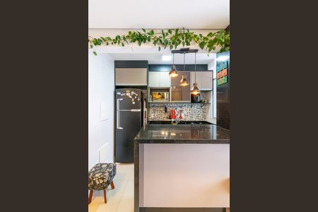 Apartamento à venda com 50m², 2 quartos e 1 vagaCozinha