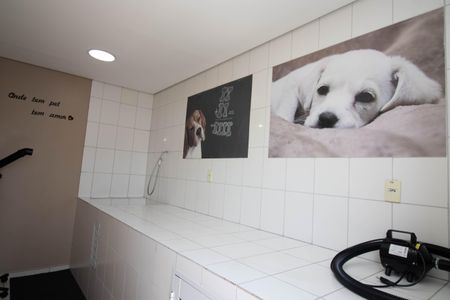 Apartamento para alugar com 54m², 2 quartos e 1 vagaÁrea Pet