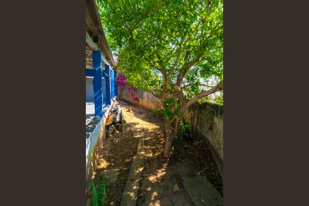 Casa à venda com 1459m², 3 quartos e 4 vagasQuintal