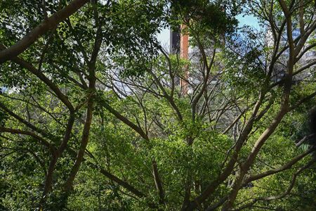 Apartamento para alugar com 350m², 4 quartos e 4 vagasVista