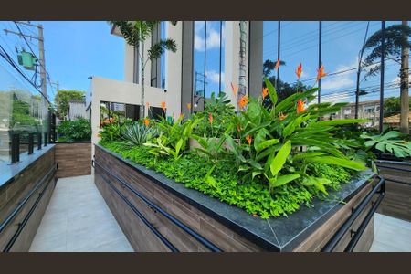 Apartamento para alugar com 65m², 2 quartos e 1 vagaJardim