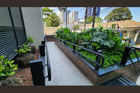 Apartamento para alugar com 65m², 2 quartos e 1 vagaJardim