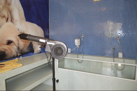 Apartamento à venda com 87m², 2 quartos e 2 vagasPet Care