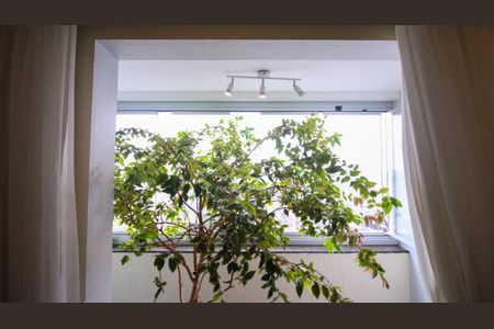 Sacada de apartamento à venda com 3 quartos, 63m² em Vila Divina Pastora, São Paulo