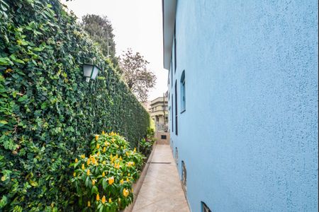 Casa para alugar com 401m², 4 quartos e 5 vagasQuintal