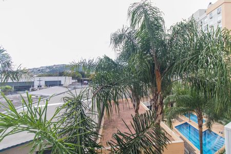 Vista da Sala de apartamento à venda com 3 quartos, 71m² em Cavalhada, Porto Alegre