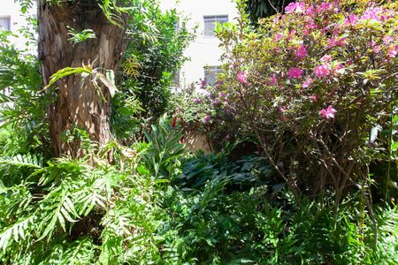 Casa à venda com 365m², 6 quartos e 3 vagasJardim