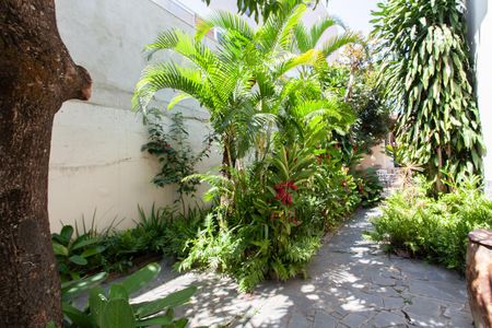 Casa à venda com 365m², 6 quartos e 3 vagasJardim