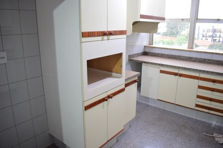 Apartamento para alugar com 360m², 5 quartos e 2 vagasCozinha - Armários