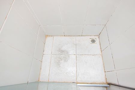 Apartamento à venda com 60m², 2 quartos e 1 vagaBanheiro da Suíte