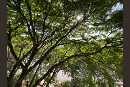 Apartamento à venda com 60m², 2 quartos e 1 vagaVista Quarto 2