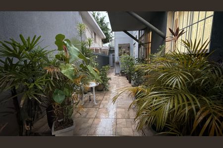 Casa à venda com 4 quartos, 232m² em Belenzinho, São Paulo