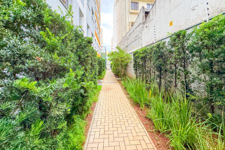 Apartamento para alugar com 33m², 2 quartos e sem vagaÁrea comum